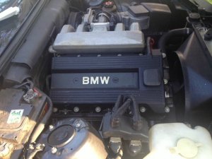 318is ein Partner frs Leben (Groes Update!) - 3er BMW - E30