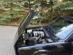 318is ein Partner frs Leben (Groes Update!) - 3er BMW - E30