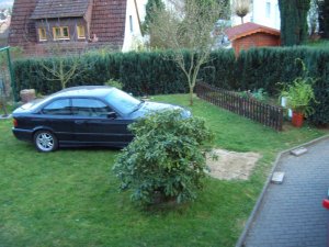 323I Coupe Sport Edition - 3er BMW - E36