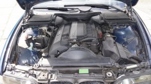 Kleiner Mann ganz groß. - 5er BMW - E39 Kleiner Mann ganz groß. - 5er BMW - E39