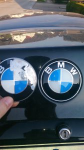 E36 316i compact 1,9L - SpassKanone - 3er BMW - E36 E36 316i compact 1,9L - SpassKanone - 3er BMW - E36