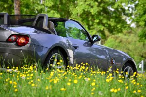 Z4 Vanilla - BMW Z1, Z3, Z4, Z8