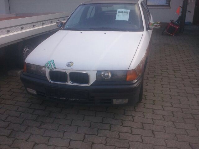 E36, 320 Ratte - 3er BMW - E36