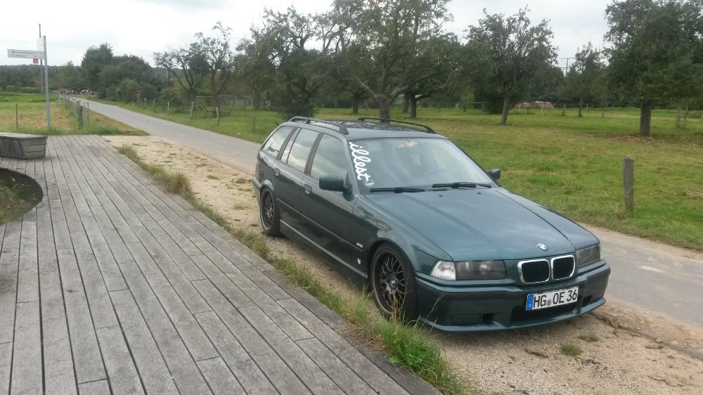 318i Touring Ascotgrn Metallic (353)! - 3er BMW - E36