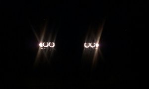 Mein Dicker 523i - 5er BMW - E39