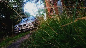 E36 323ti Komplettaufbereitung - 3er BMW - E36