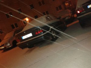 E36, 320 limo Barbados Grn meine lexi - 3er BMW - E36
