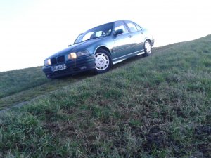 E36, 320 limo Barbados Grn meine lexi - 3er BMW - E36
