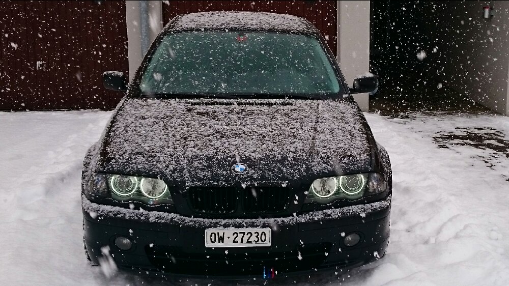 BMW E46 323I M-Paket 1 - 3er BMW - E46