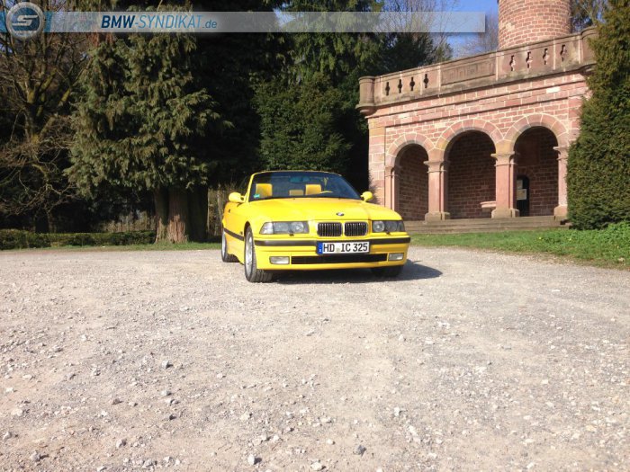 325IA Indivual Giallo - 3er BMW - E36