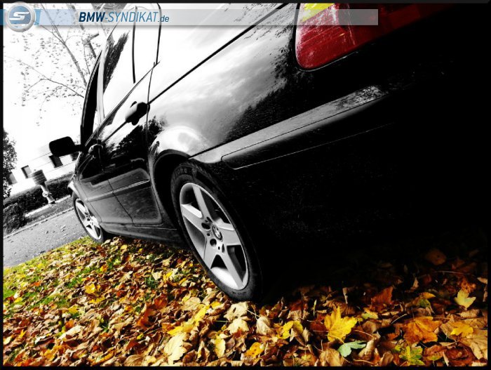 BMW-Syndikat Fotostorie