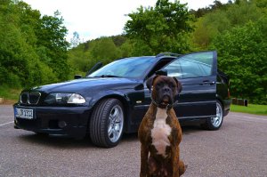 E46 Touring -The Dog Mobile- - 3er BMW - E46