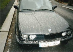 Laubfrosch - 3er BMW - E30 Laubfrosch - 3er BMW - E30