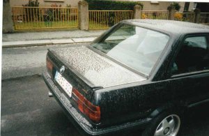 Laubfrosch - 3er BMW - E30 Laubfrosch - 3er BMW - E30