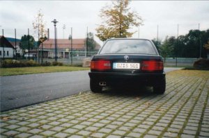 Laubfrosch - 3er BMW - E30 Laubfrosch - 3er BMW - E30