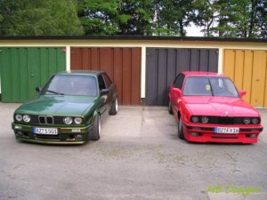 Laubfrosch - 3er BMW - E30 Laubfrosch - 3er BMW - E30