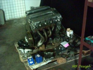 Laubfrosch - 3er BMW - E30 Laubfrosch - 3er BMW - E30