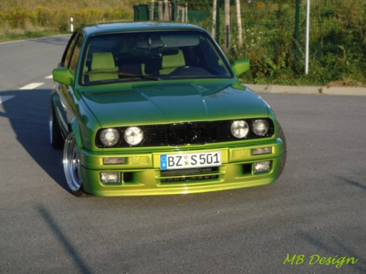 Laubfrosch - 3er BMW - E30