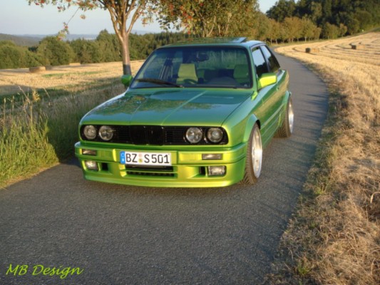 Laubfrosch - 3er BMW - E30