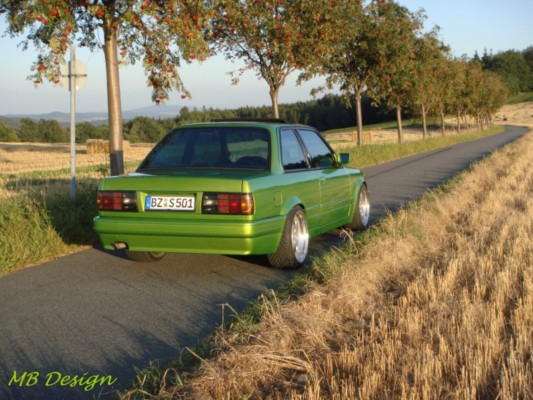 Laubfrosch - 3er BMW - E30