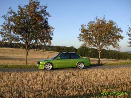 Laubfrosch - 3er BMW - E30