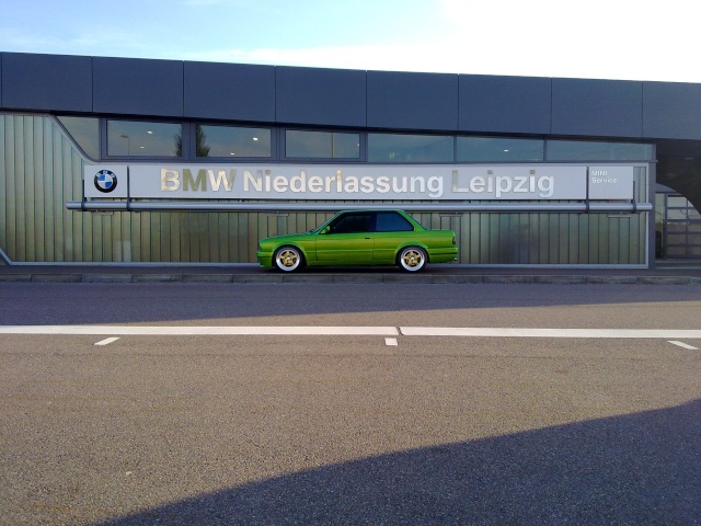 Laubfrosch - 3er BMW - E30