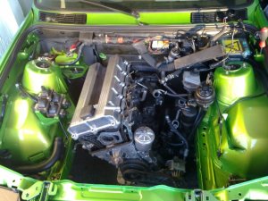 Laubfrosch - 3er BMW - E30 Laubfrosch - 3er BMW - E30