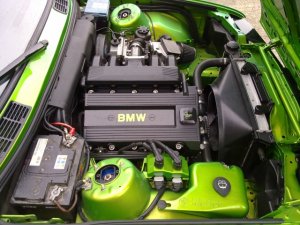 Laubfrosch - 3er BMW - E30 Laubfrosch - 3er BMW - E30
