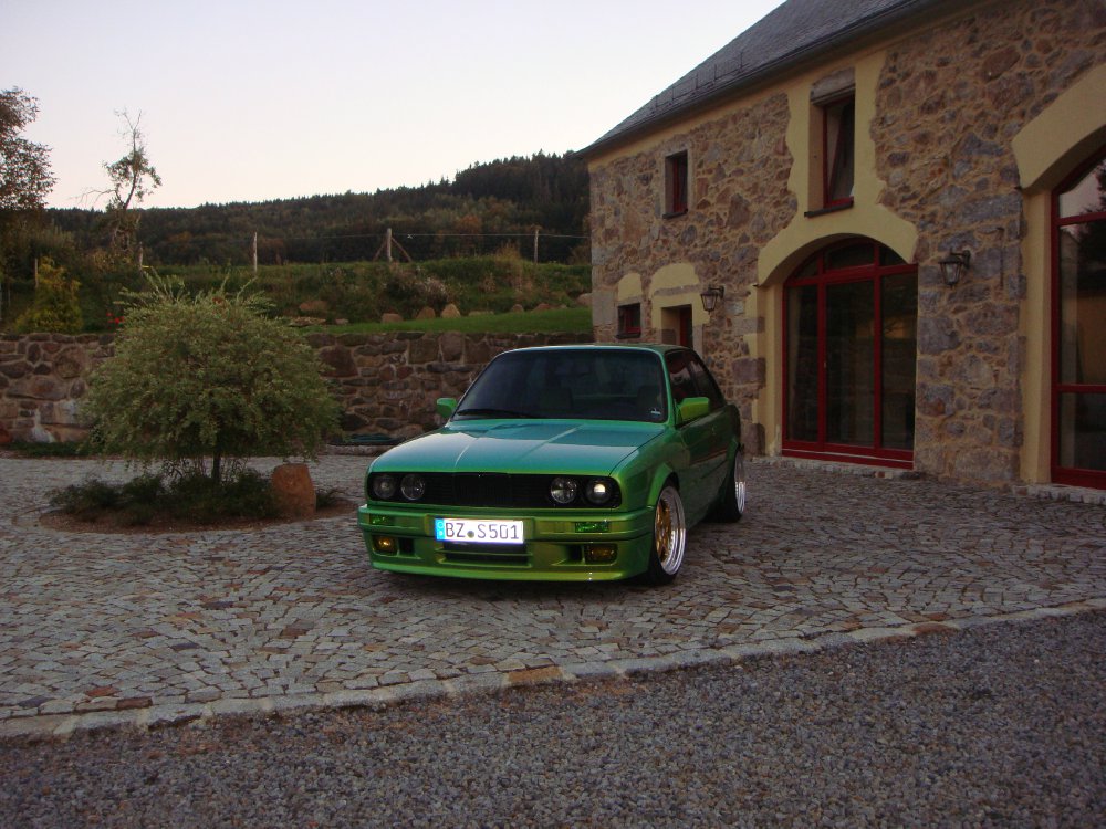 Laubfrosch - 3er BMW - E30