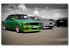 Laubfrosch - 3er BMW - E30 - green.jpg