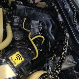 Yoshi 318is Class II - 3er BMW - E36 Yoshi 318is Class II - 3er BMW - E36