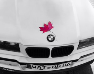 Yoshi 318is Class II - 3er BMW - E36 Yoshi 318is Class II - 3er BMW - E36