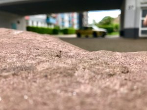 Yoshi 318is Class II - 3er BMW - E36