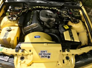 Yoshi 318is Class II - 3er BMW - E36