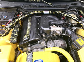 Yoshi 318is Class II - 3er BMW - E36 Yoshi 318is Class II - 3er BMW - E36