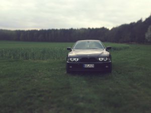 E39 goes US - 5er BMW - E39