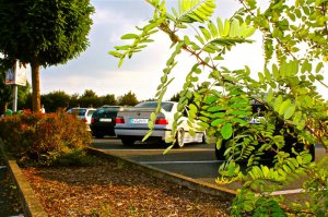 white.stanced.twen'yeight.sedan - 3er BMW - E36