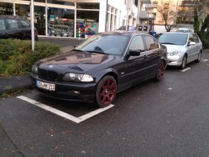 E46 330d chip - 3er BMW - E46
