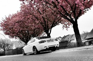 BMW e92 335i M-Sport Edition - 3er BMW - E90 / E91 / E92 / E93