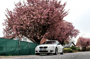 BMW e92 335i M-Sport Edition - 3er BMW - E90 / E91 / E92 / E93