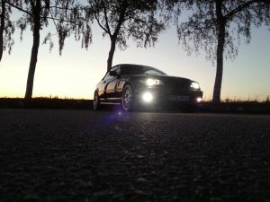 E46 Cabrio M-Paket/Performance - 3er BMW - E46 E46 Cabrio M-Paket/Performance - 3er BMW - E46