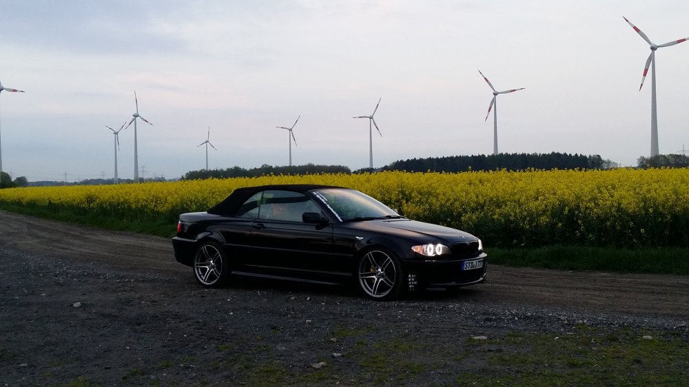 E46 Cabrio M-Paket/Performance - 3er BMW - E46