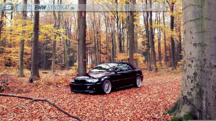 E46 Cabrio M-Paket/Performance - 3er BMW - E46