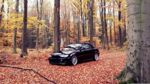 E46 Cabrio M-Paket/Performance - 3er BMW - E46