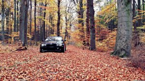 E46 Cabrio M-Paket/Performance - 3er BMW - E46
