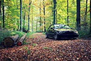 E46 Cabrio M-Paket/Performance - 3er BMW - E46 E46 Cabrio M-Paket/Performance - 3er BMW - E46