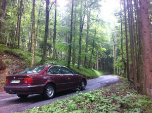 Mein 1. e39 *brokatrot* 530d - 5er BMW - E39