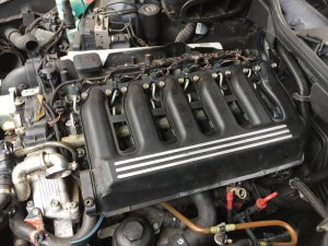 Der 4. seiner Art. - 5er BMW - E39