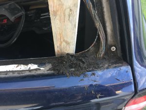 Der 4. seiner Art. - 5er BMW - E39