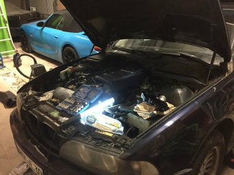 Der 4. seiner Art. - 5er BMW - E39
